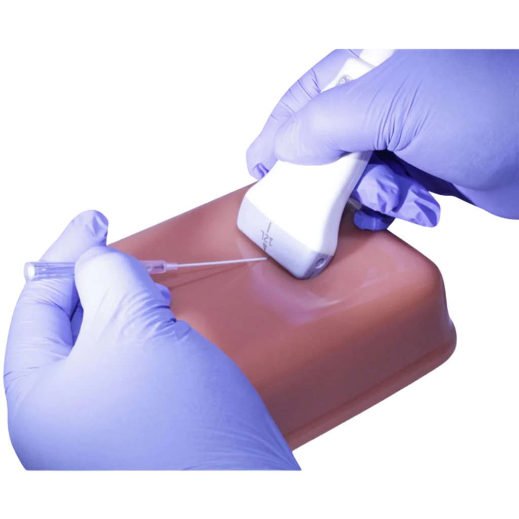 Orientation-Ultrasound-Phantom-Trainer-3